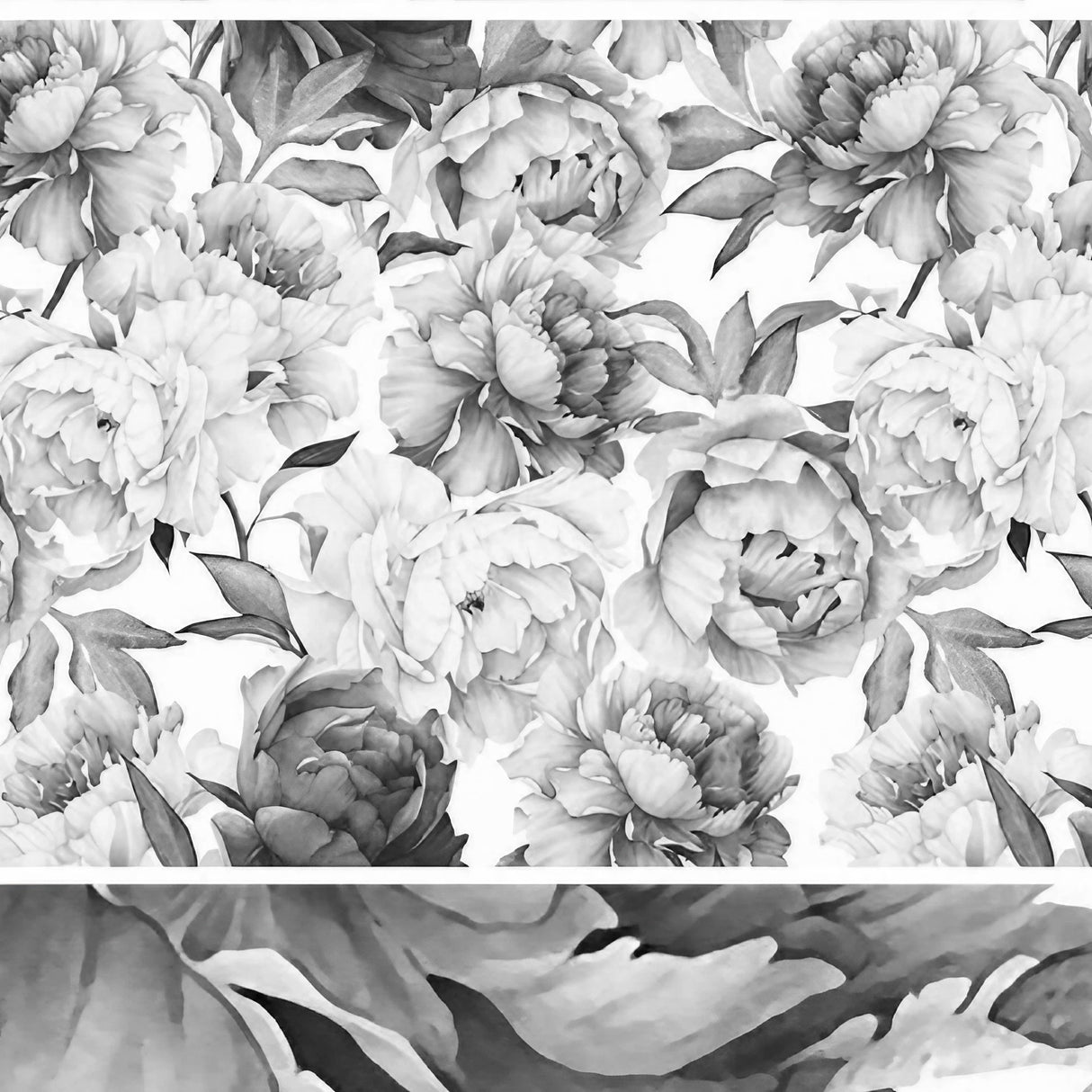 Papier noir et blanc pivoines