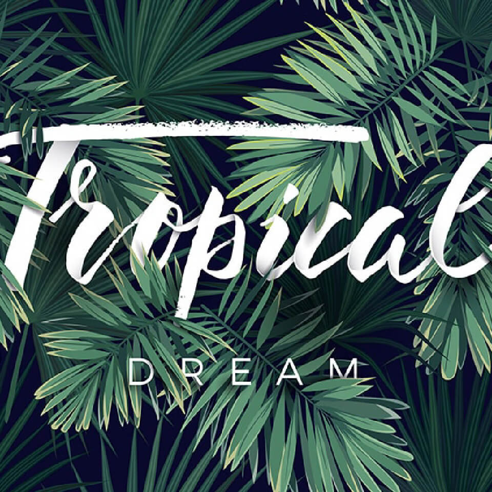 Papier peint tropical dream