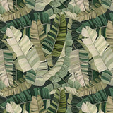 Papier peint tropical feuilles de bananiers