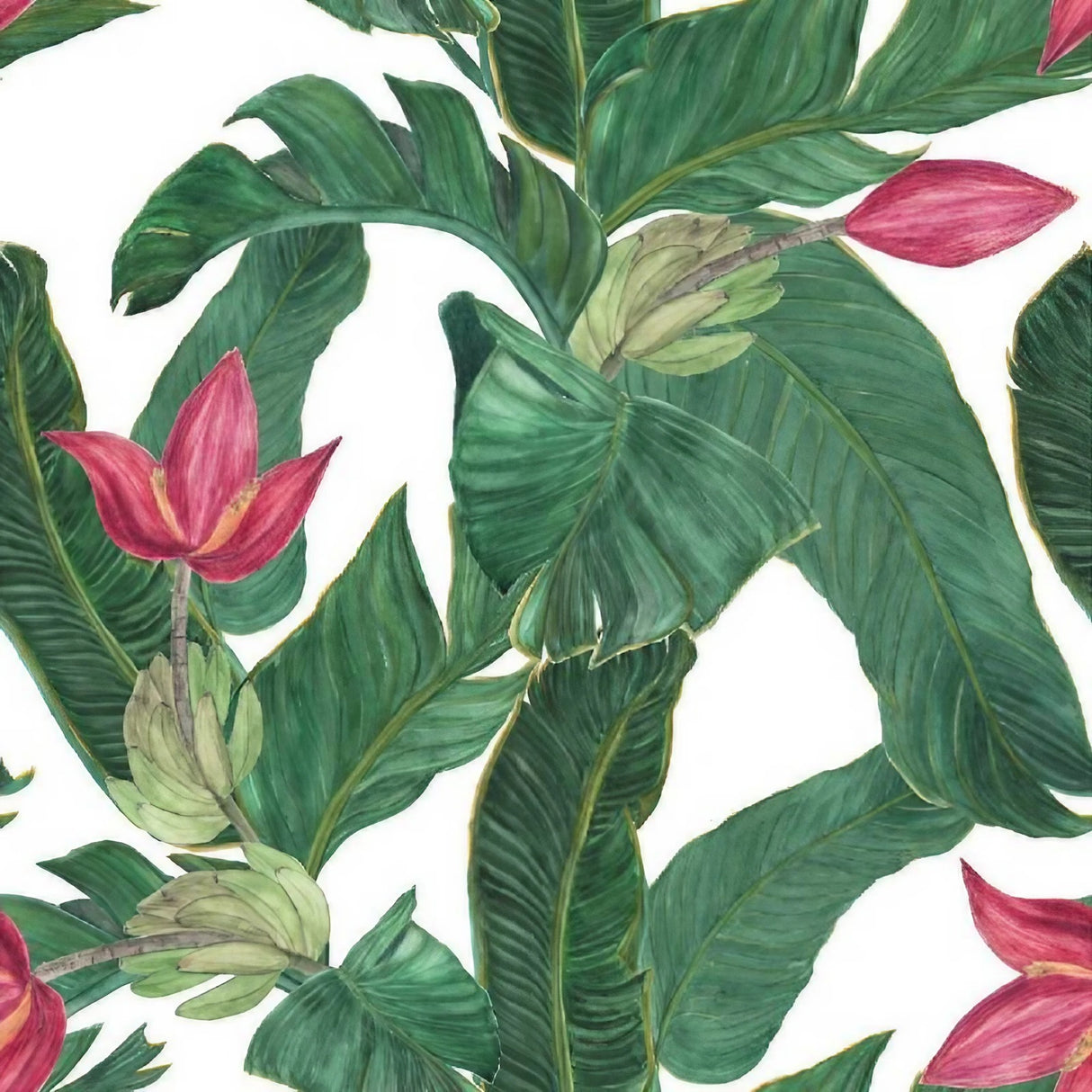 Papier peint tropical vert et rose