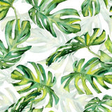 Papier peint jungle blanc et vert